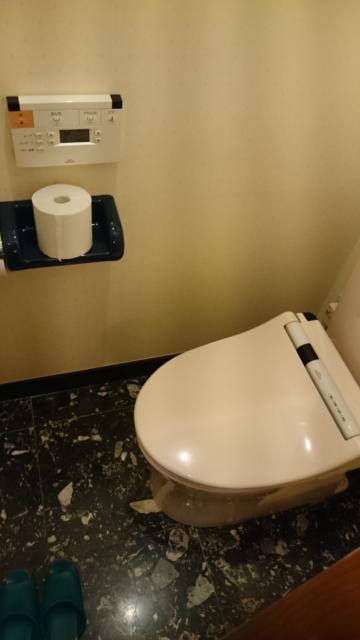 ルテシア(渋谷区/ラブホテル)の写真『301号室のトイレ  浴室とは別になっています。』by angler