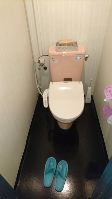 ホテル レインボー(富里市/ラブホテル)の写真『301号室トイレ』by よしお440