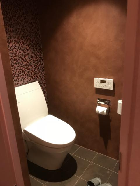 WANDOO(ワンドゥ)(相模原市/ラブホテル)の写真『502号室のトイレ』by 少佐