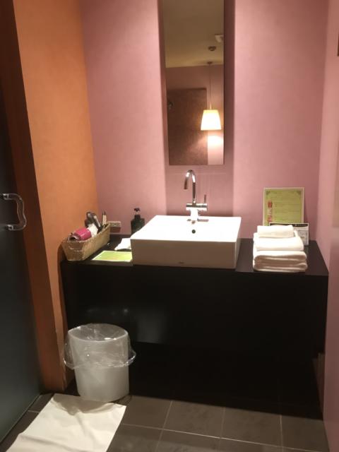 WANDOO(ワンドゥ)(相模原市/ラブホテル)の写真『502号室の洗面所』by 少佐