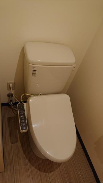 ヒルズホテル五反田(品川区/ラブホテル)の写真『606号室 トイレ』by 舐めたろう