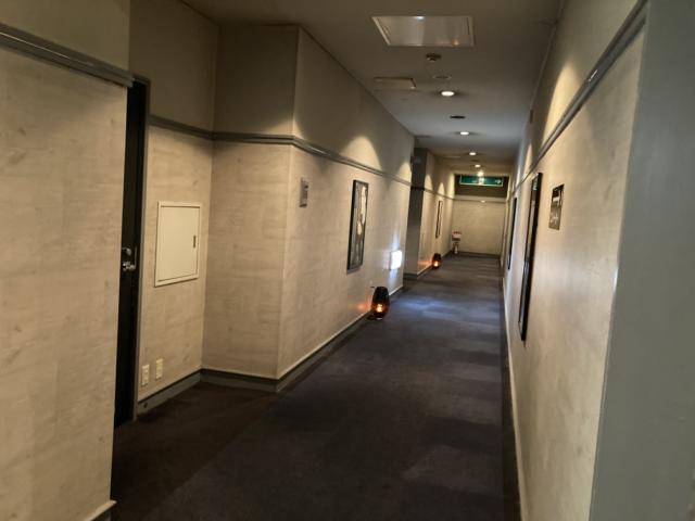ホテル シティ22(沼津市/ラブホテル)の写真『3F廊下』by まさおJリーグカレーよ