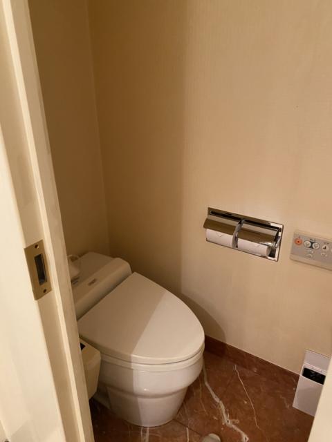 HOTEL TIFFARD（ティファード）(新宿区/ラブホテル)の写真『213号室.トイレ』by 黒板 潤