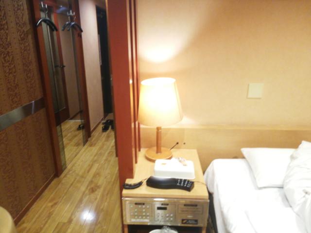 ホテル モアナ大塚(豊島区/ラブホテル)の写真『201号室インパネと照明』by 愛だけでできている