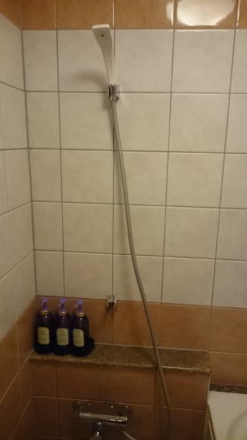 HOTEL LELiSA(レリーザ)(渋谷区/ラブホテル)の写真『305号室のお風呂 シャワーの水圧はまずまず。』by angler