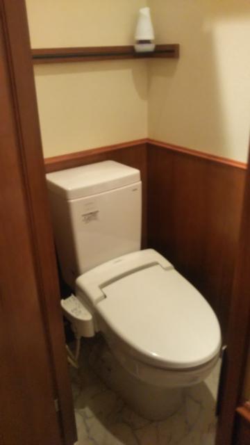 HOTEL GARNET（ガーネット)(千葉市中央区/ラブホテル)の写真『302号室 トイレ』by 正直下半神