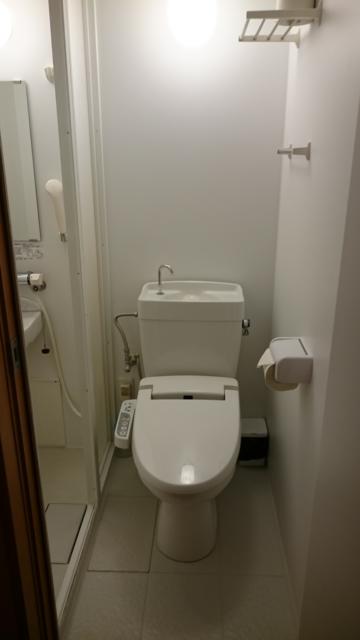 マンゴスチンホテル(町田市/ラブホテル)の写真『503号室のトイレ』by angler