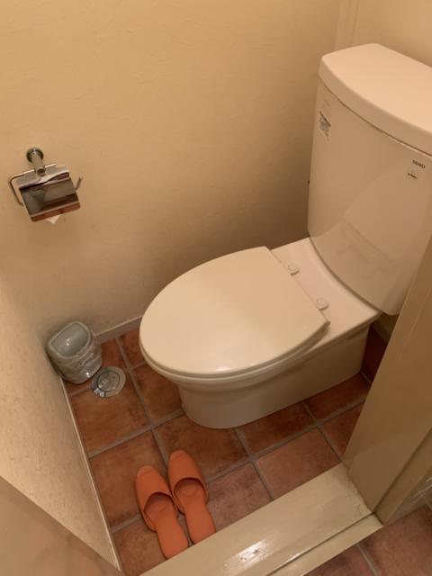 キャメルイン(立川市/ラブホテル)の写真『412号室　トイレ』by タウラス