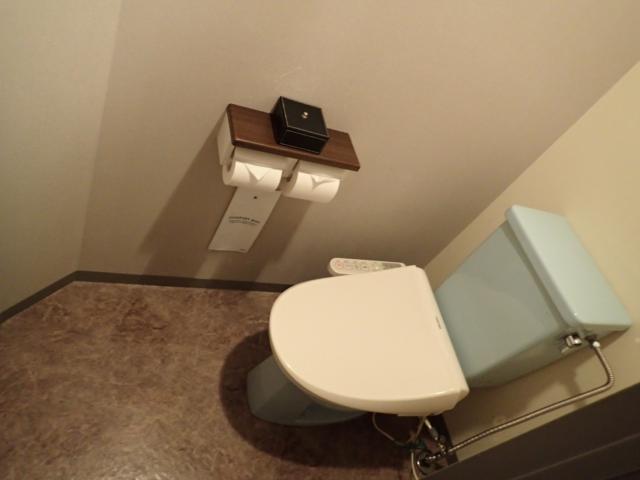 HOTEL TSUBAKI 戸塚店(横浜市戸塚区/ラブホテル)の写真『307号室　トイレ』by ないとん