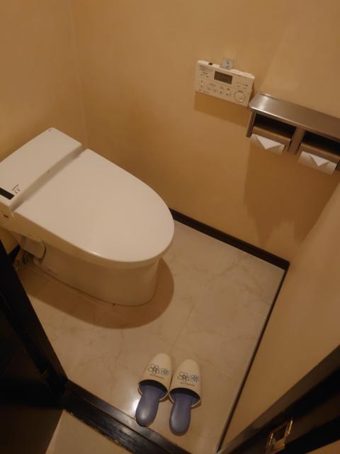 ペガサス(文京区/ラブホテル)の写真『102号 トイレ』by momomo