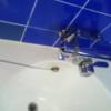 ホテルポニー(相模原市/ラブホテル)の写真『502号室 浴室水栓』by angler