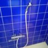 ホテルポニー(相模原市/ラブホテル)の写真『502号室 浴室 シャワー』by angler