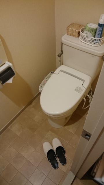 ホテルポニー(相模原市/ラブホテル)の写真『502号室 トイレはウォシュレット』by angler