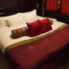 HOTEL VARKIN（ヴァーキン）(豊島区/ラブホテル)の写真『904 ベッド』by 初心者_蓮