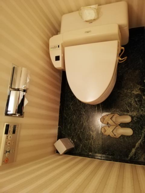 HOTEL TIFFARD（ティファード）(新宿区/ラブホテル)の写真『511号室、トイレ』by イシバシ