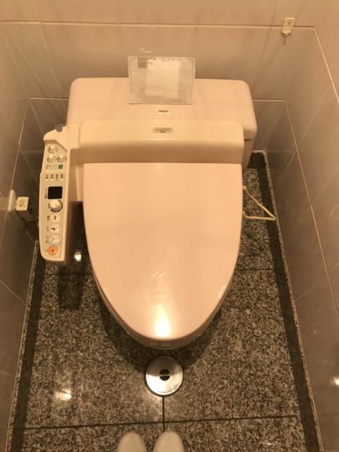 ホテル サラサ(横浜市西区/ラブホテル)の写真『(312号室)トイレ。玄関の右側にありましたが、ちょっと使いづらかったです。』by こーめー