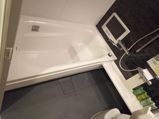 HOTEL GARNET（ガーネット)(千葉市中央区/ラブホテル)の写真『601号室　ブロアバスと浴室テレビ』by かーたー