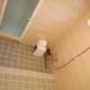 HOTEL 艶EN(横須賀市/ラブホテル)の写真『116号室利用(20,6)洗い場です。段差があります。』by キジ