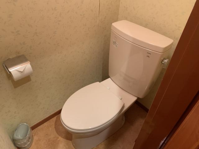 キャメルイン(立川市/ラブホテル)の写真『216号室　トイレ』by タウラス