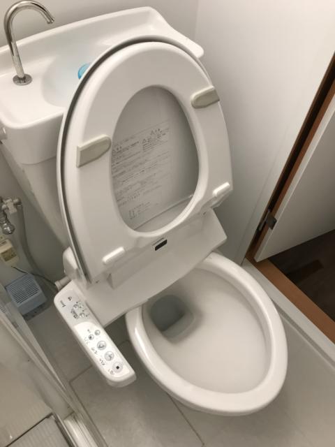 マンゴスチンホテル(町田市/ラブホテル)の写真『510号室の便器』by 少佐