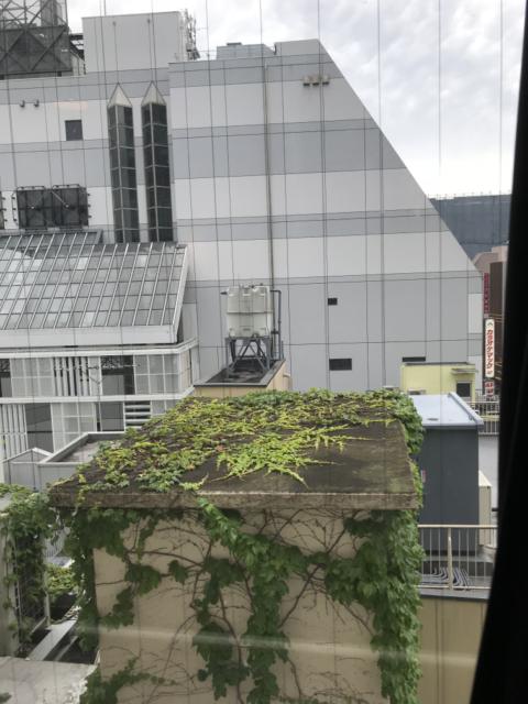 マンゴスチンホテル(町田市/ラブホテル)の写真『510号室から見た景色』by 少佐