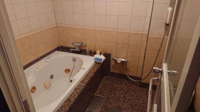 HOTEL FIORE（フィオーレ）(瑞穂町/ラブホテル)の写真『208号室浴室』by ようたろう