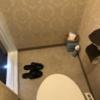 ホテル エビナ(海老名市/ラブホテル)の写真『401号室のトイレ④』by 少佐