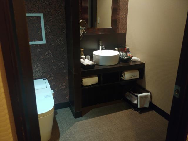 HOTEL ザ・ウエスト(八王子市/ラブホテル)の写真『307号室(特別室)洗面所・トイレ。ドライヤーの他アイロンも備え付け。』by すぬすぬ（運営スタッフ）