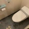 ホテル FORSION(フォーション)(新宿区/ラブホテル)の写真『301号室、トイレ。ウォシュレット完備。普通に清潔な御手洗いでした。』by コゴロー