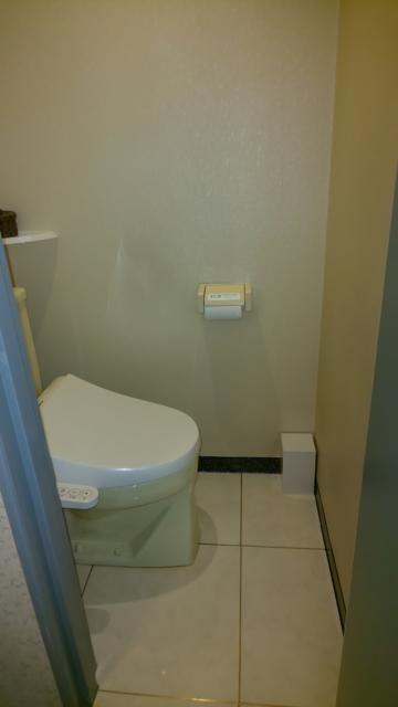 HOTEL VIENNE 宇都宮(ホテル ヴィエンヌ）(宇都宮市/ラブホテル)の写真『206号室のトイレ。ウォシュレット付きですが、部屋は狭め。』by ドレ狐