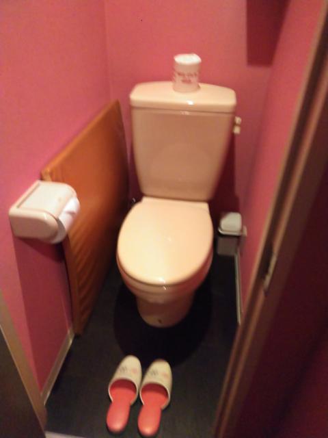 ホテル ルージュ(豊島区/ラブホテル)の写真『101号室トイレ』by もぐたんっ