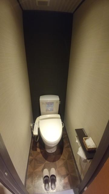 ハイビスカス松戸(松戸市/ラブホテル)の写真『303号室　トイレ』by 来栖