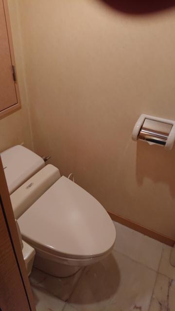 De La Fino(デラフィーノ)(杉並区/ラブホテル)の写真『405号室 トイレ』by おやっちゃん