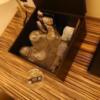 HOTEL DUO（デュオ）(墨田区/ラブホテル)の写真『304号室 コーヒーなどは箱の中にあります』by 舐めたろう