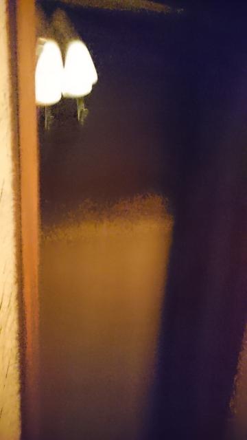 シルクホテル(川崎市川崎区/ラブホテル)の写真『406号室のクローゼット 入ってすぐ右に。暗くてよく分からない。』by angler