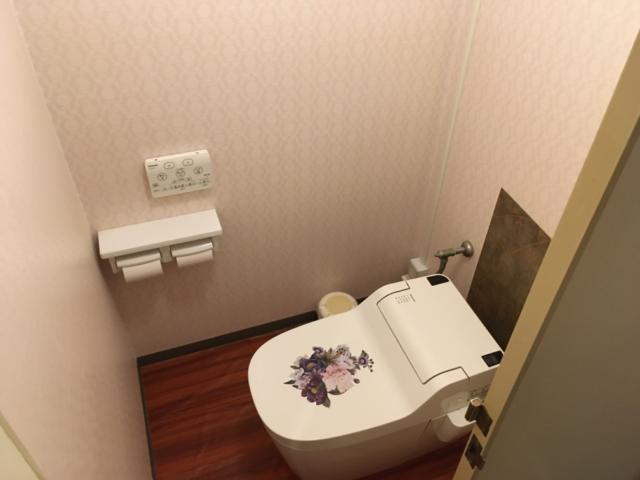 アルファ北松戸(松戸市/ラブホテル)の写真『207号室トイレ』by mailbox