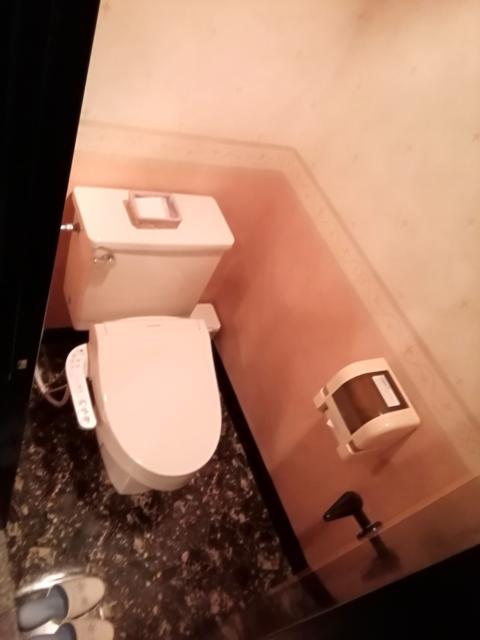 湘南ベイホテル(茅ヶ崎市/ラブホテル)の写真『310号室利用(20,8)トイレはこじんまりとしています。』by キジ