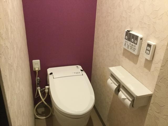 HOTEL RIO（リオ）(新宿区/ラブホテル)の写真『201号室　トイレ』by ACB48