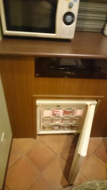 HOTEL GOLD(ホテル ゴールド)(川崎市川崎区/ラブホテル)の写真『501号室の冷蔵庫 持ち込み用はなかった。』by angler