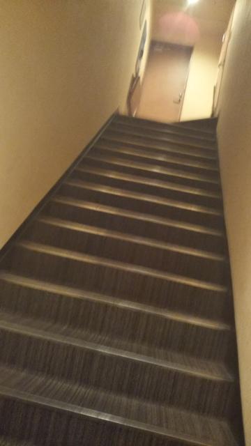 OttO（オット）(行田市/ラブホテル)の写真『207号室　入り口入るとすぐ階段』by 八つの大罪
