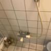 HOTEL LUPINUS（ルピナス）(大和市/ラブホテル)の写真『402号室の浴室のカラン』by 少佐