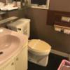 HOTEL LUPINUS（ルピナス）(大和市/ラブホテル)の写真『402号室のトイレ・洗面台②』by 少佐