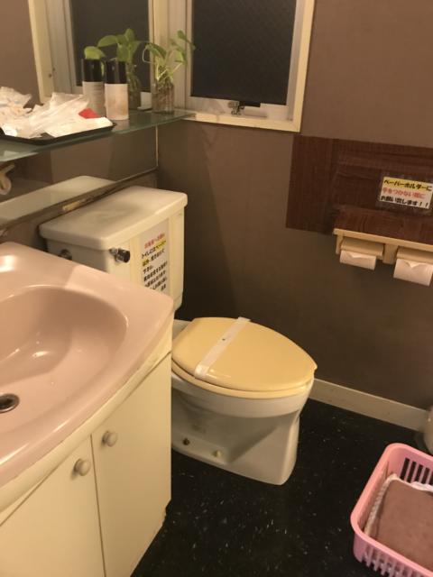 HOTEL LUPINUS（ルピナス）(大和市/ラブホテル)の写真『402号室のトイレ・洗面台②』by 少佐
