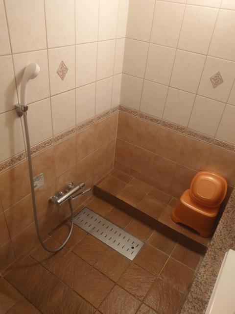 ホテル ルポ(墨田区/ラブホテル)の写真『501号 バスルーム シャワー』by momomo