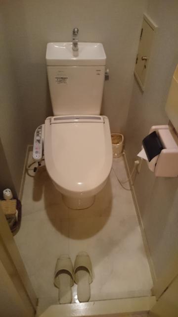 ホテルポニー(相模原市/ラブホテル)の写真『201号室 のトイレ。ウォシュレットです。』by angler