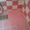 ホテルポニー(相模原市/ラブホテル)の写真『201号室 お風呂。タイルがPINK 多少の経年劣化あり。』by angler