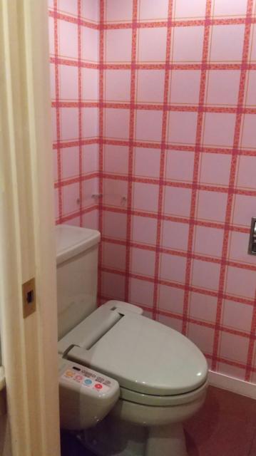 LARGE Honjo（ラルジュ）(本庄市/ラブホテル)の写真『406号室  トイレはオシュレット。』by セイムス