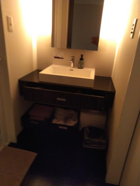 BIX（ビックス）(品川区/ラブホテル)の写真『303号室　洗面台　個人的には立体型の洗面槽は苦手』by もぐたんっ