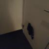BIX（ビックス）(品川区/ラブホテル)の写真『303号室　エントランス　全体的に暗め』by もぐたんっ