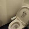 ホテル パル新宿店(新宿区/ラブホテル)の写真『６０３号室　トイレ』by もぐたんっ